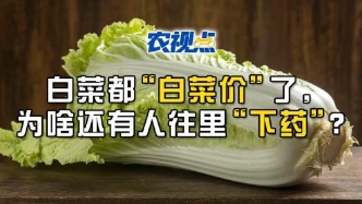 白菜都“白菜价”了，为啥还有人往里“下药”？#农视点#白菜
