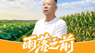 《肥料在中国 新洋丰丰收行》湖北仙桃篇·雨落之前