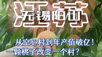 江苏无锡一村庄，竟靠一颗能吸着喝的水蜜桃，实现年产值破亿
