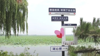 行在济南 游在路上丨农村公路铺就“路景相融”新画卷