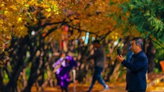 东西部协作 万人游临夏｜临夏的秋天，原来是这般模样
