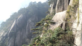 杜诗中的流水对