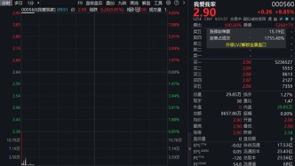 利好来袭、多股盘中涨停！我爱我家，500万手，“5天3板”