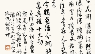 白阳书《廿一史弹词》丨说元史