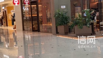 杭州临平万达广场中庭悬挂构件掉落 目击者称现场有人受伤
