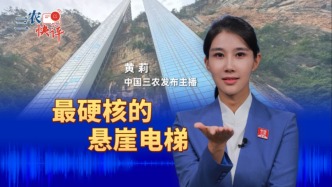 #三农快评 最硬核的悬崖电梯