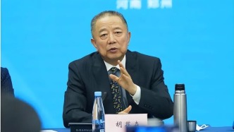 建业风云落幕：胡葆森的“中原撤退”与未竟棋局