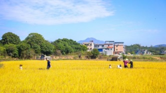 我国首部耕地保护专门法出台！从“守住红线”到“法治护田”