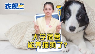 大学宿舍能养猫狗了？别让“宠物试点”变成“管理试错”