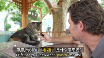 “I”看中国 | 文化混搭的“初代瓜”