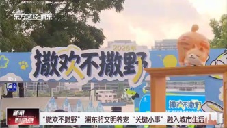 “撒欢不撒野” 浦东将文明养宠“关键小事”融入城市生活