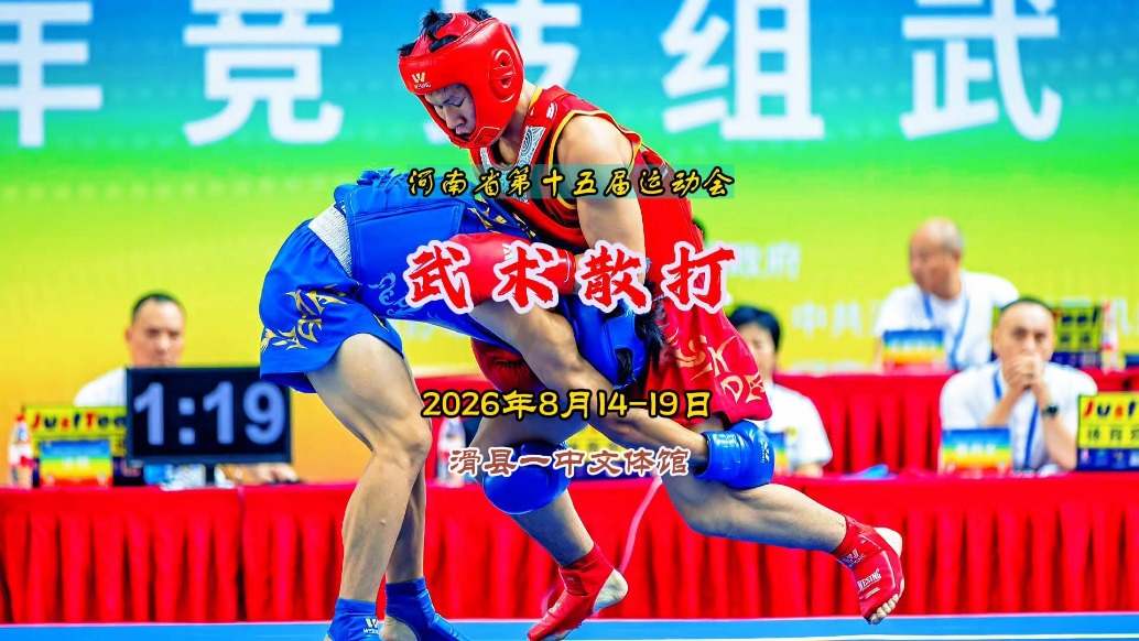 武术散打:青少年竞技组丨河南省第十五届运动会⑥