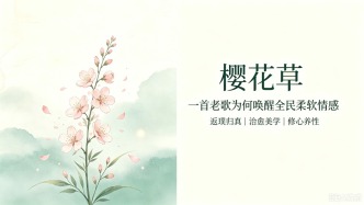 一株《樱花草》：浮躁语境下的审美返璞与精神寻归