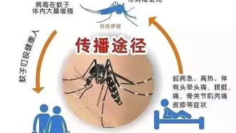 家里蚊子多，就用这几招→
