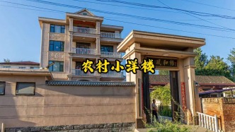 惊艳：农村小洋楼丨河南滑县