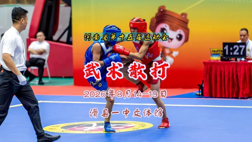武术散打:青少年竞技组丨河南省第十五届运动会⑦