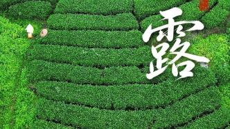 今日“白露”，今天起要调整一下了！