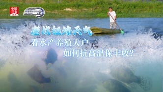 鏖战极端天气 看水产养殖大户如何抗高温保丰收？