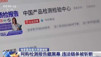 央视曝光：安全带不合格、检测报告500元网购——价格战“卷”到质检环节，谁为人命买单？ 