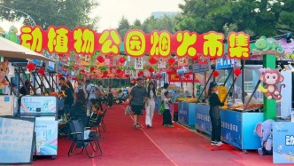 逛了就不想走！长春新增一处“烟火市集”，就在……