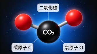 真菌如何在常温常压下“捕获”二氧化碳？