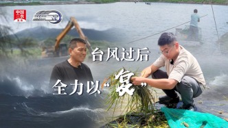 台风过后全力以“复”
