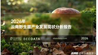 从资源优势到品牌突围：云南野生菌全产业链现状与机遇解析