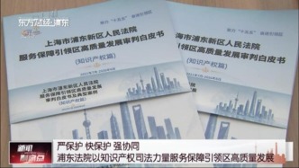 严保护 快保护 强协同 浦东法院以知识产权司法力量服务保障引领区高质量发展