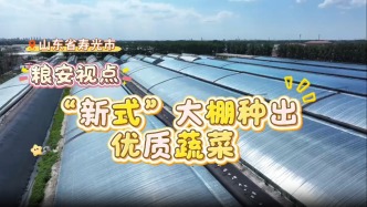 “新式大棚”种出优质蔬菜#三农万象 #粮安视点