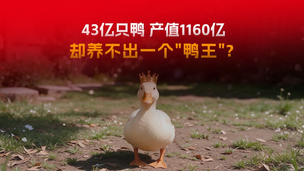 43亿只鸭、产值1160亿,为啥却养不出一个“鸭王”?