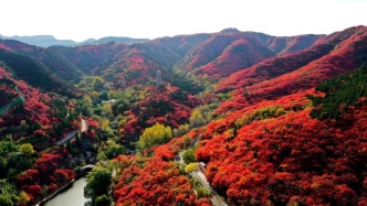 秋启红叶谷｜二十六载时光沉淀，9月19日周年庆如约启幕，静候万山红遍