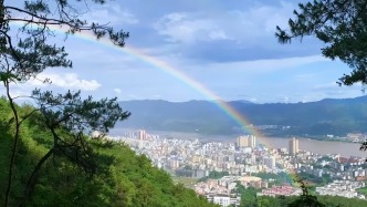 德庆城乡公园遍地开花！一园一景致，步步是风光