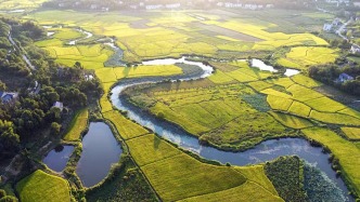 湘潭市派指导帮扶组助推秸秆变废为宝