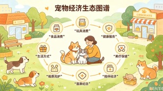 乖宝、中宠失速，佩蒂领跌，宠物头部企业2026上半年增收不增利