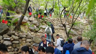 金秋九月，临沂沂蒙山10万斤板栗免费捡！