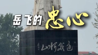 岳飞的忠心到底是忠于谁？