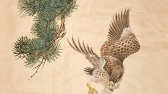 王德禄《松鹰逐雉》国画绘制步骤