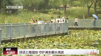 诗话上海湿地 守护浦东碧水清波