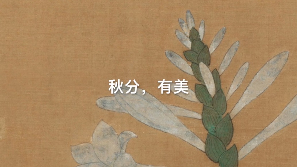 秋分，也很美