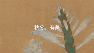 秋分，也很美
