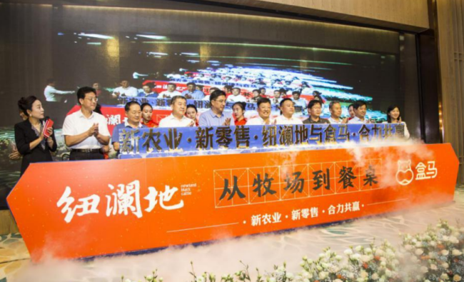 山东：种好育肥“订单菜”，进京出国不愁卖