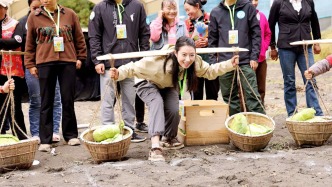 理县2026年中国农民丰收节活动在朴头镇高山大白菜核心产区启幕