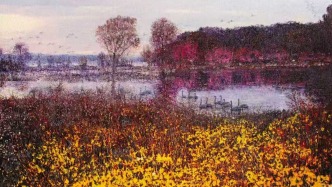 肌理秩序的色域与诗意——谈郑洙哲的油画《天鹅湖》