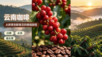 坐拥近千亿产值，云南咖啡为什么难出本土强势品牌？