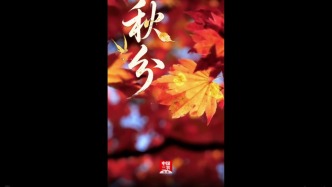 秋分至，葡萄甜——愿你收获得踏实，日子也甜。#二十四节气# #葡萄熟了  