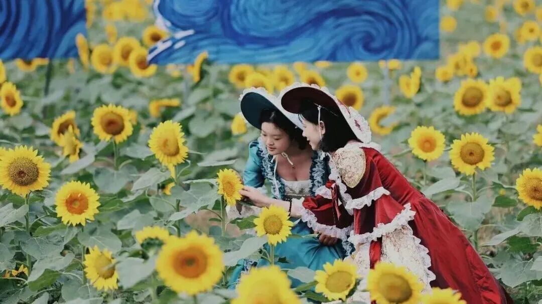 赏花、祈福、听戏、露营,湾沚相思园把秋天过成了金黄