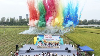 赏花、祈福、听戏、露营，湾沚相思园把秋天过成了金黄