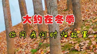 大约在冬季：你问我何时归故里