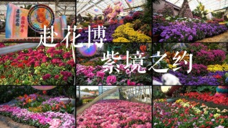 花博会·带你逛I承东方祥瑞之韵 赴花博紫境之约