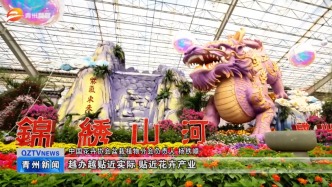 嘉宾盛赞花博会 共谋发展新未来